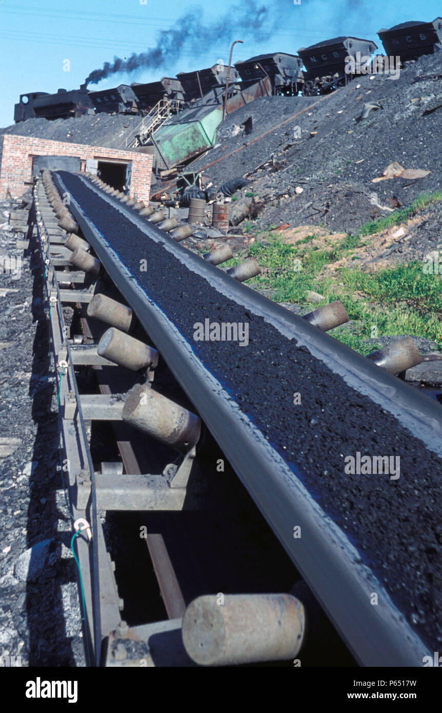 Une austérité Hunslet 0-6-0ER décharge interne de charbon sur le tapis roulant à chariots de la mine de Haig sur le bassin de Cumberland. Vendredi 4 juin 1971. Banque D'Images