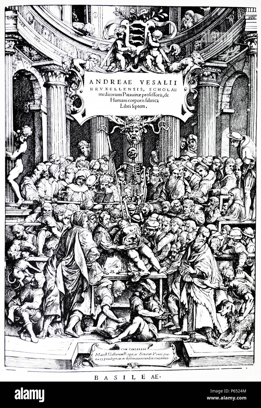 Page de titre de la première édition de l''De Humani Corporis Fabrica", par Andreas Vesalius, (1514-1564) Planche 2, 1543. Banque D'Images