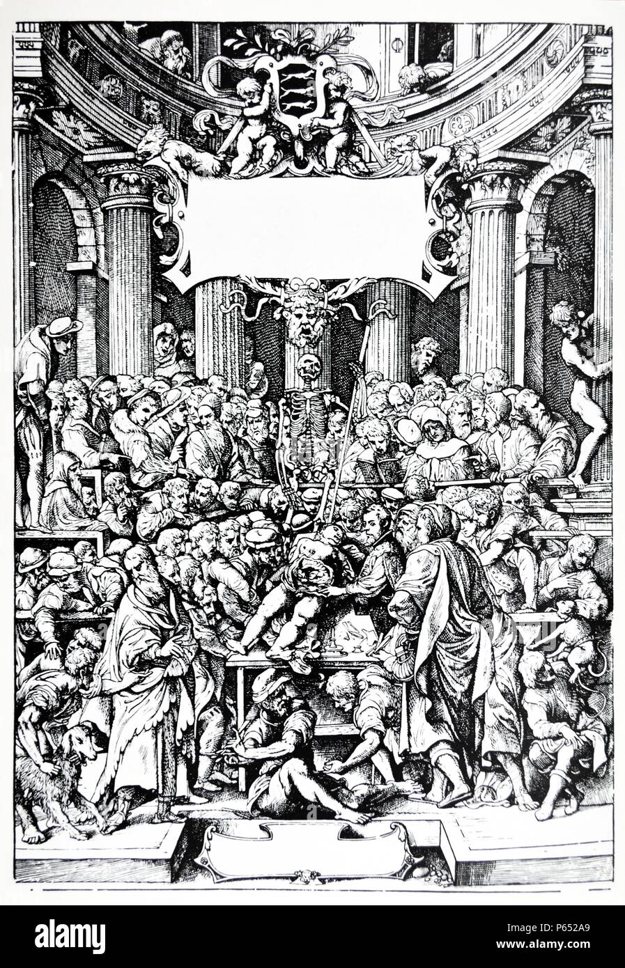 Les plaques de l'épitomé du De Humani Corporis Fabrica de Vésale, (1514-1564) Première ébauche pour la page de titre de la première édition de "De Humani Corporis Fabrica" 1543. Banque D'Images