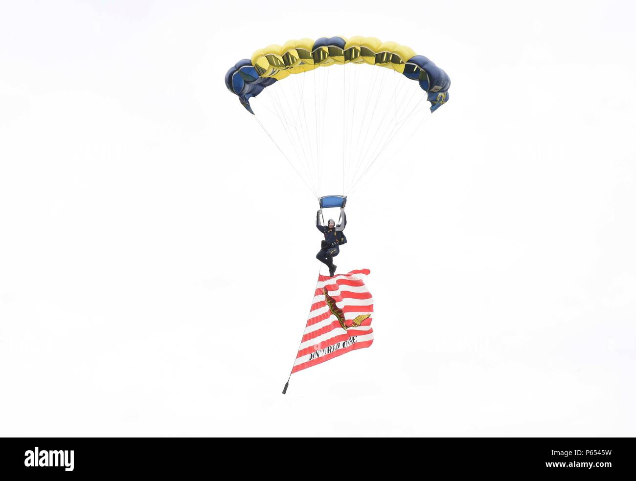 160414-N-VY375-034 Maryville, au Tennessee (14 avril 2016) Le lieutenant (JOINT) Duncan Hamilton, membre de l'Équipe de parachutistes de la Marine américaine, le saut des grenouilles, vole le 'Don't tread on me' drapeau comme se prépare à atterrir sur le terrain à Clayton Bradley Academy dans le cadre de la Semaine de la Marine de Knoxville. Le programme de la Semaine de la marine est conçu pour accroître la sensibilisation au sujet de la Marine dans des domaines qui traditionnellement n'ont pas une présence navale et comprennent des projets de rapport, de conférences, et d'interviews avec des hôtes du pavillon et la zone des marins. (U.S. Photo par marine Opérateur des opérations spéciales de la 1re classe Brandon Peterson/libérés) Banque D'Images