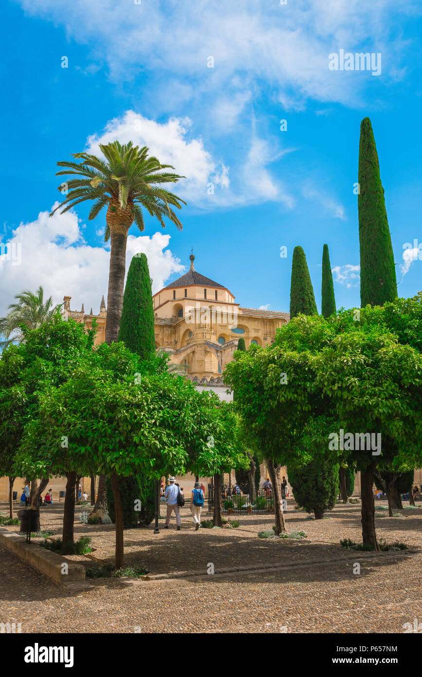 Vue sur le Patio de los Naranjos (la Cour des Orangers) dans la Mosquée Cathédrale de Cordoue (La Mezquita) à Cordoba (Cordoue), Andalousie, Espagne Banque D'Images