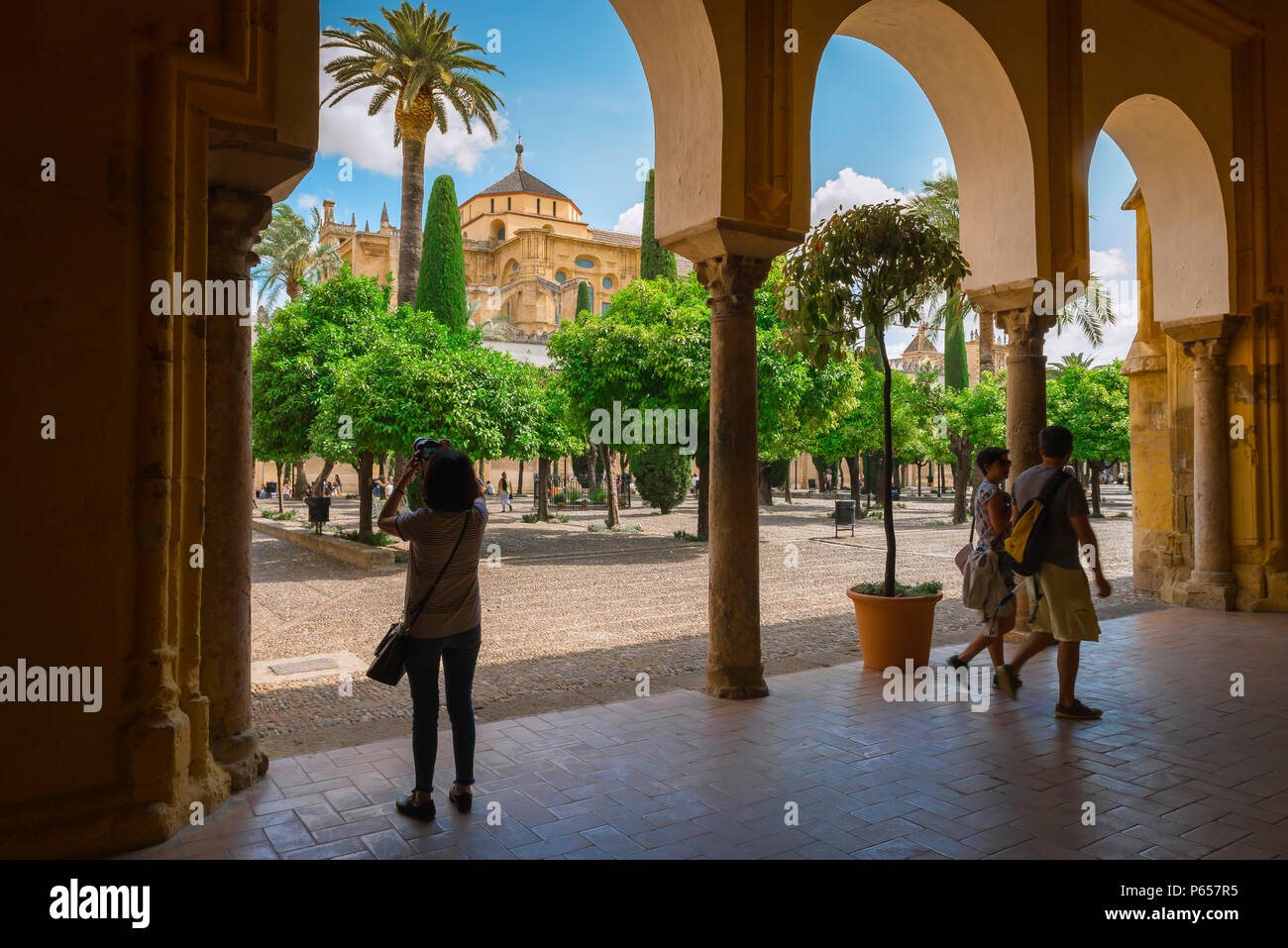 Cordoue Andalousie Espagne, vue sur le patio de los Naranjos dans la mosquée de la cathédrale de Cordoue encadrée par des arches mauresques dans sa colonnade environnante. Banque D'Images