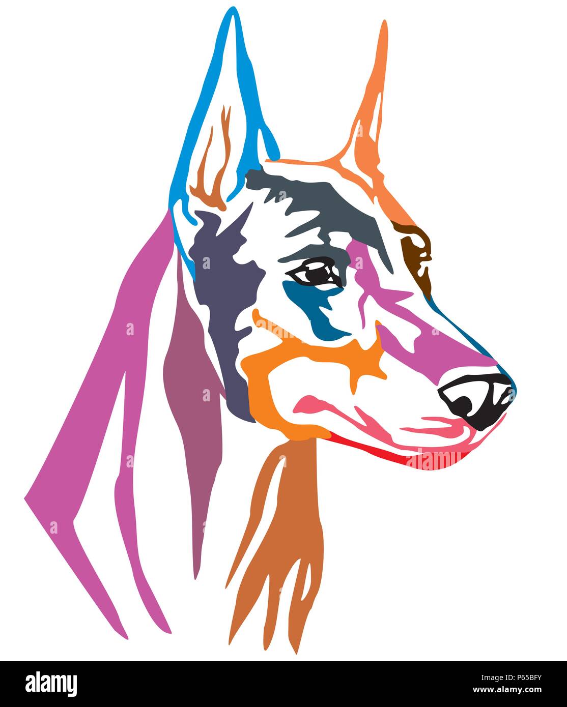 Portrait décoratives colorées de chien Dobermann, vector illustration en différentes couleurs isolé sur fond blanc. Droit pour la conception et de tatouage. Illustration de Vecteur
