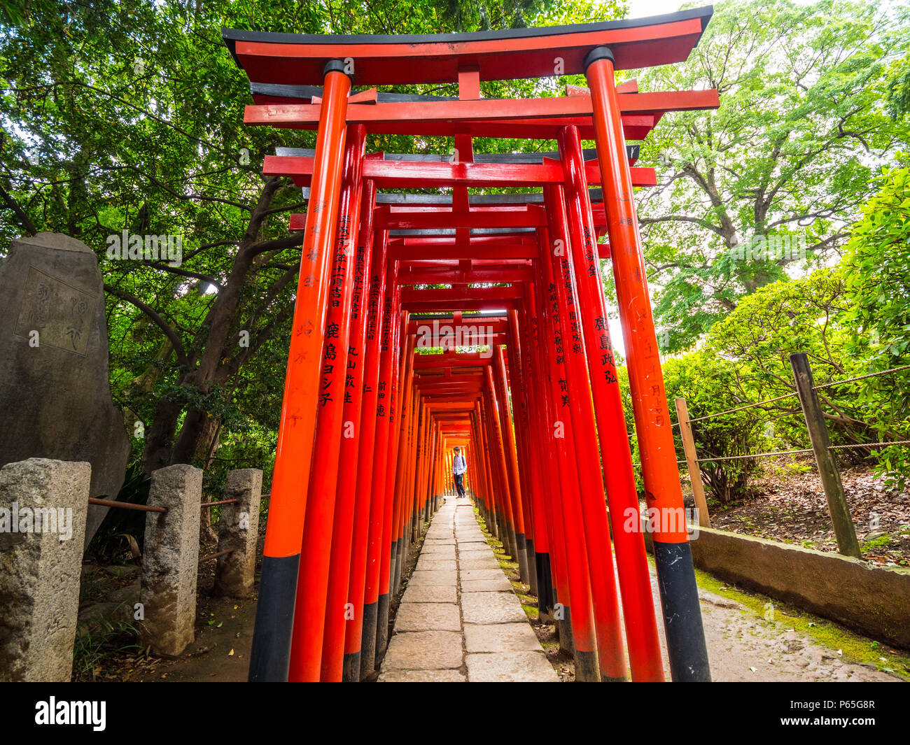 La fameuse porte rouge chemin de Nezu Jinja à Tokyo - TOKYO / JAPON - 17  JUIN 2018 Photo Stock - Alamy