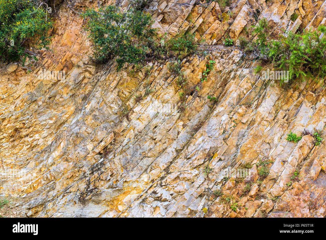 La texture de la pierre. Rock formation de fissures et de saillies. Montagne de château de San Juan. L'Espagnol beach resort en été, Blanes Costa Brava, Catalo Banque D'Images