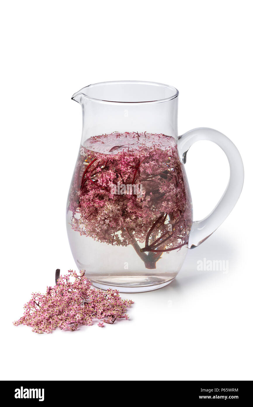 Le verre peut avec rose fleurs de sureau boire froid isolé sur fond blanc Banque D'Images