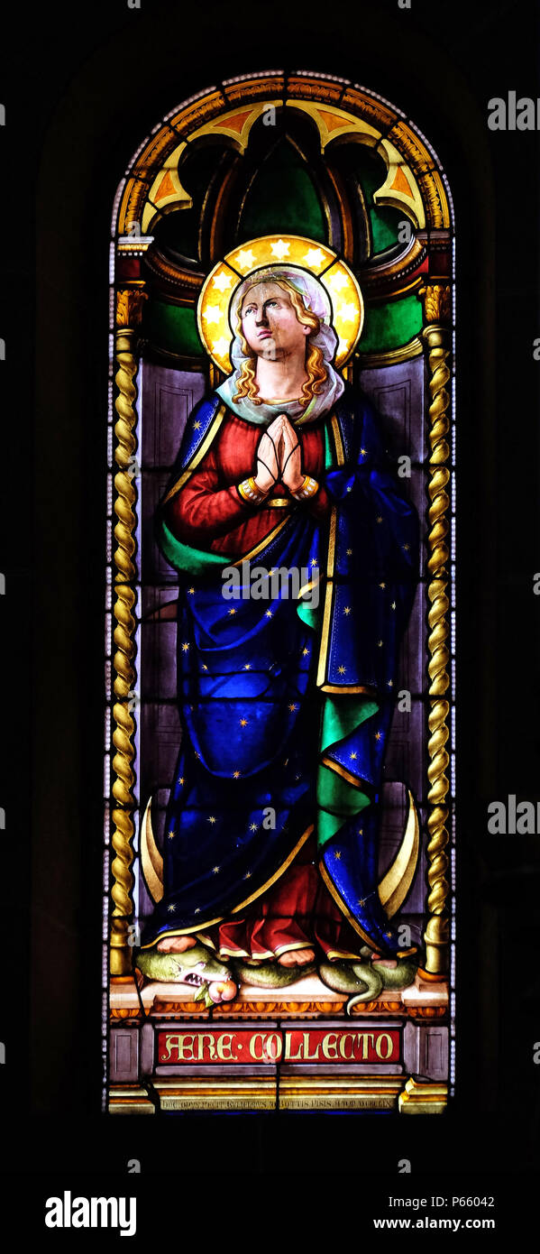 Vierge Marie, vitrail dans la Basilique de saint Frediano, Lucca, Toscane, Italie Banque D'Images