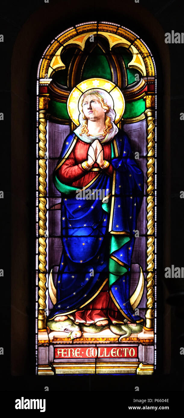 Vierge Marie, vitrail dans la Basilique de saint Frediano, Lucca, Toscane, Italie Banque D'Images