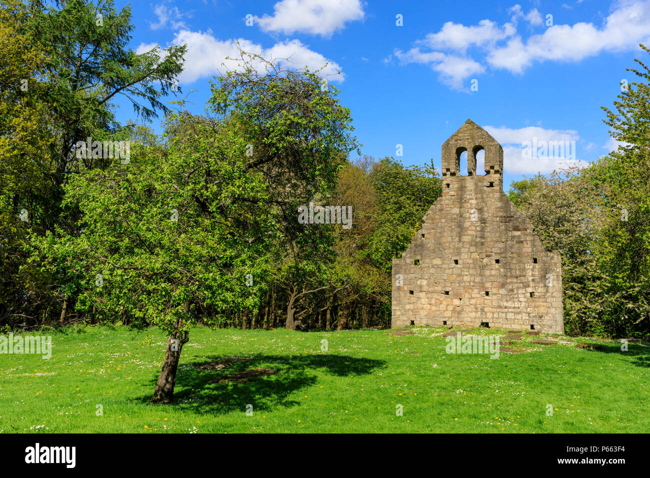 Kinneil Église avec les arbres environnants Banque D'Images