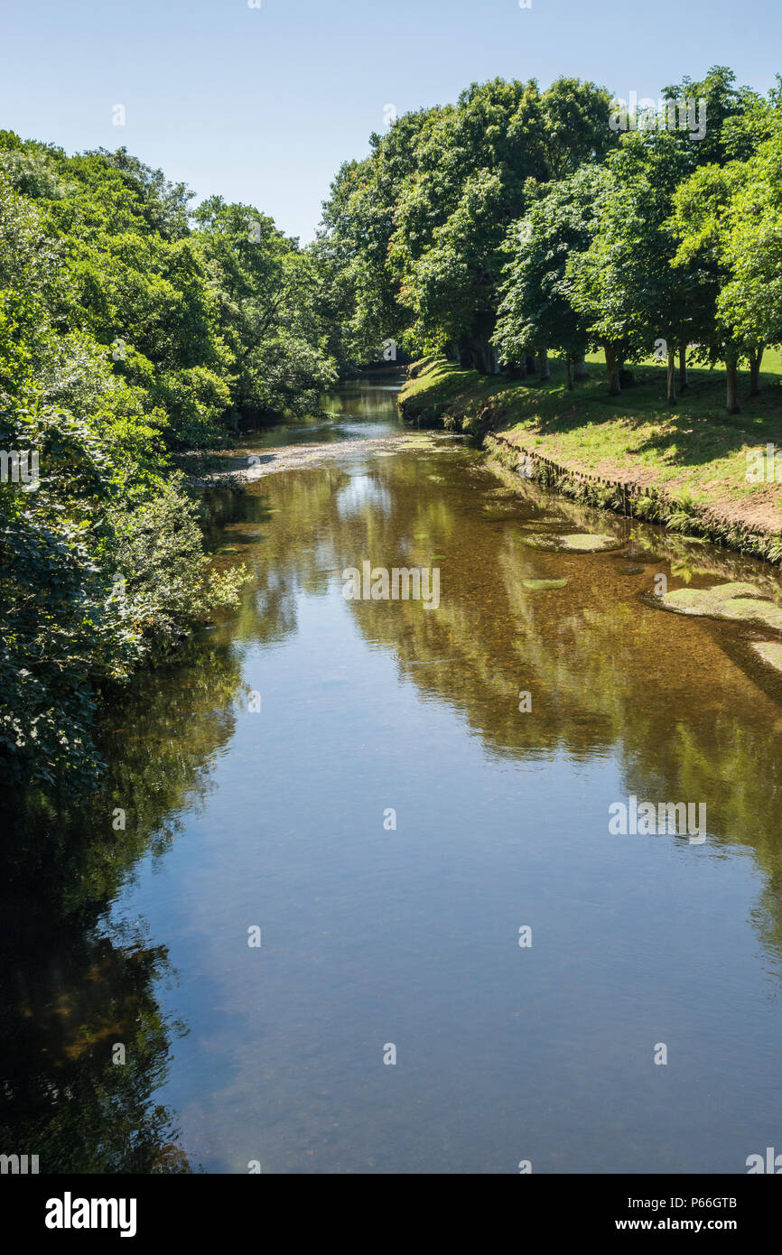 River Fowey à Lostwithiel (à au sud) sur lumineuse, ensoleillée journée d'été. Vu à marée basse (Fowey est droit de marée jusqu'à Lostwithiel) Banque D'Images