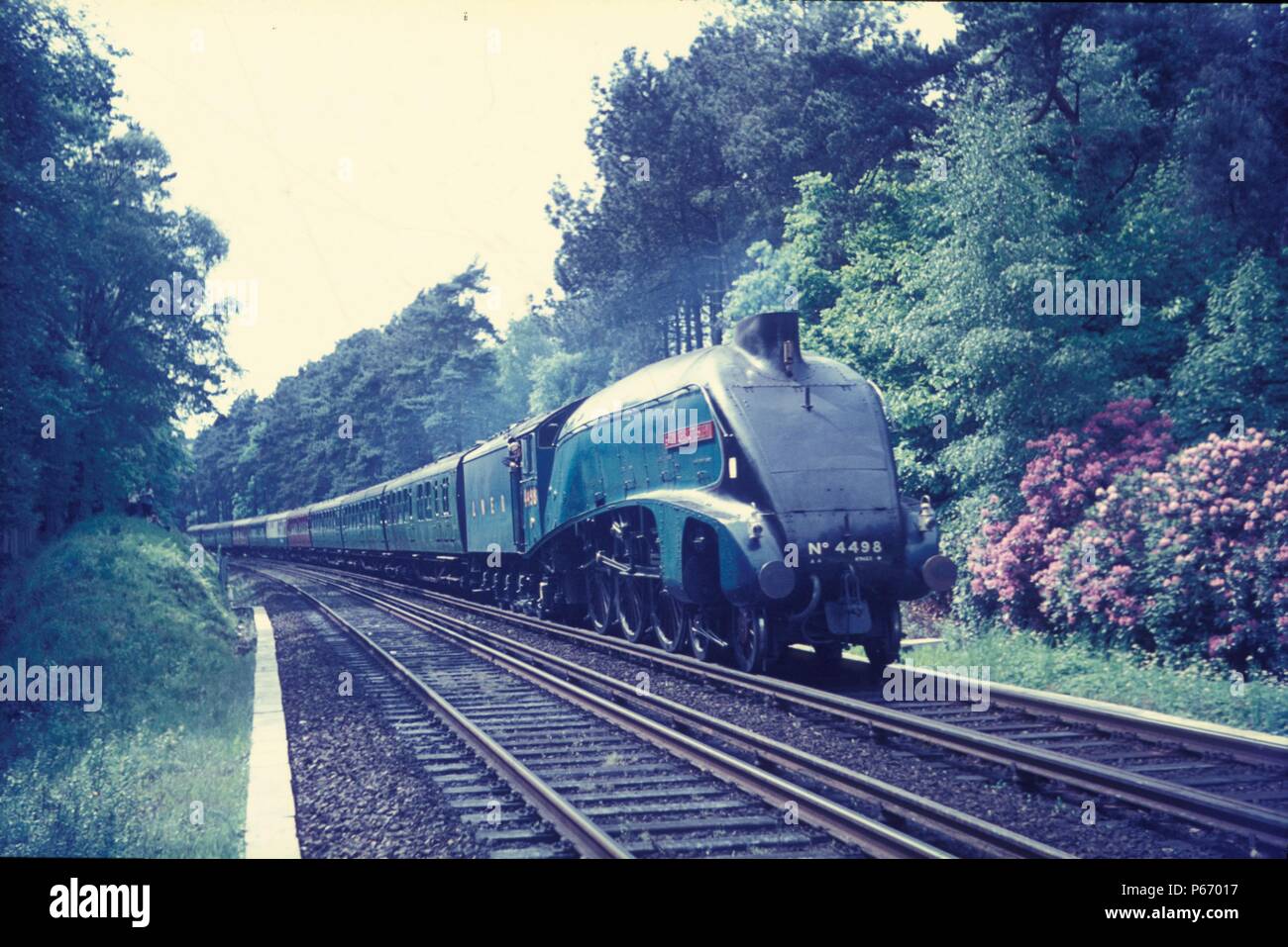 Sir Nigel Gresley, ex LNER Classe A4, approches Bournemouth avec un train spécial de Weymouth au cours des années 1960. Banque D'Images