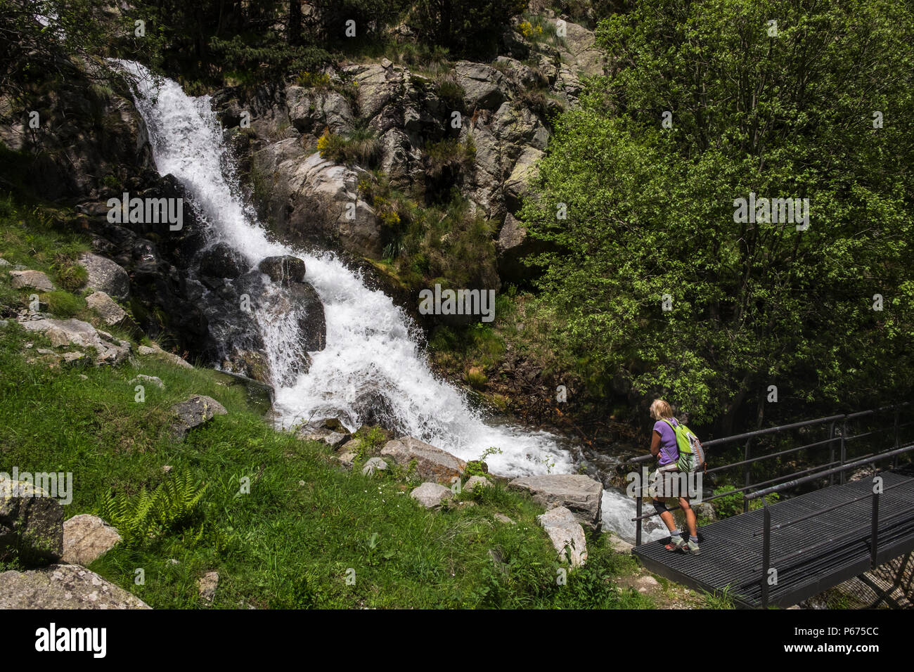 Le sel de Fontalba cascade au point où elle rejoint la rivière Rio de Nuria dans la vallée de Vall de Nuria, Catalogne, Espagne Banque D'Images