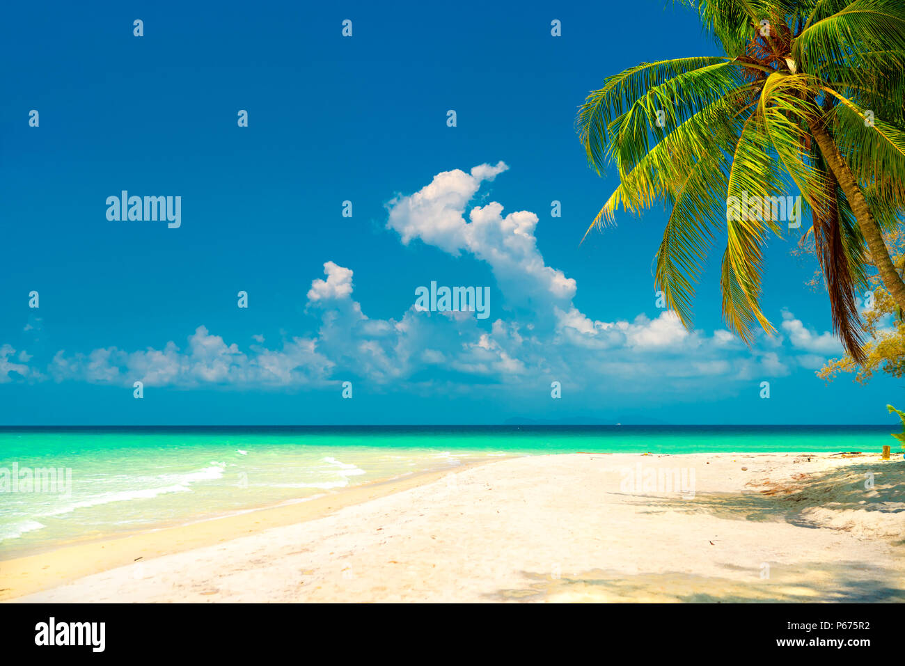 La nature sauvage du paysage incroyable plage tropicale avec palmiers sur fond de paysage de mer propre cristal bleu lagon et ciel d'été sur l'horizon Banque D'Images