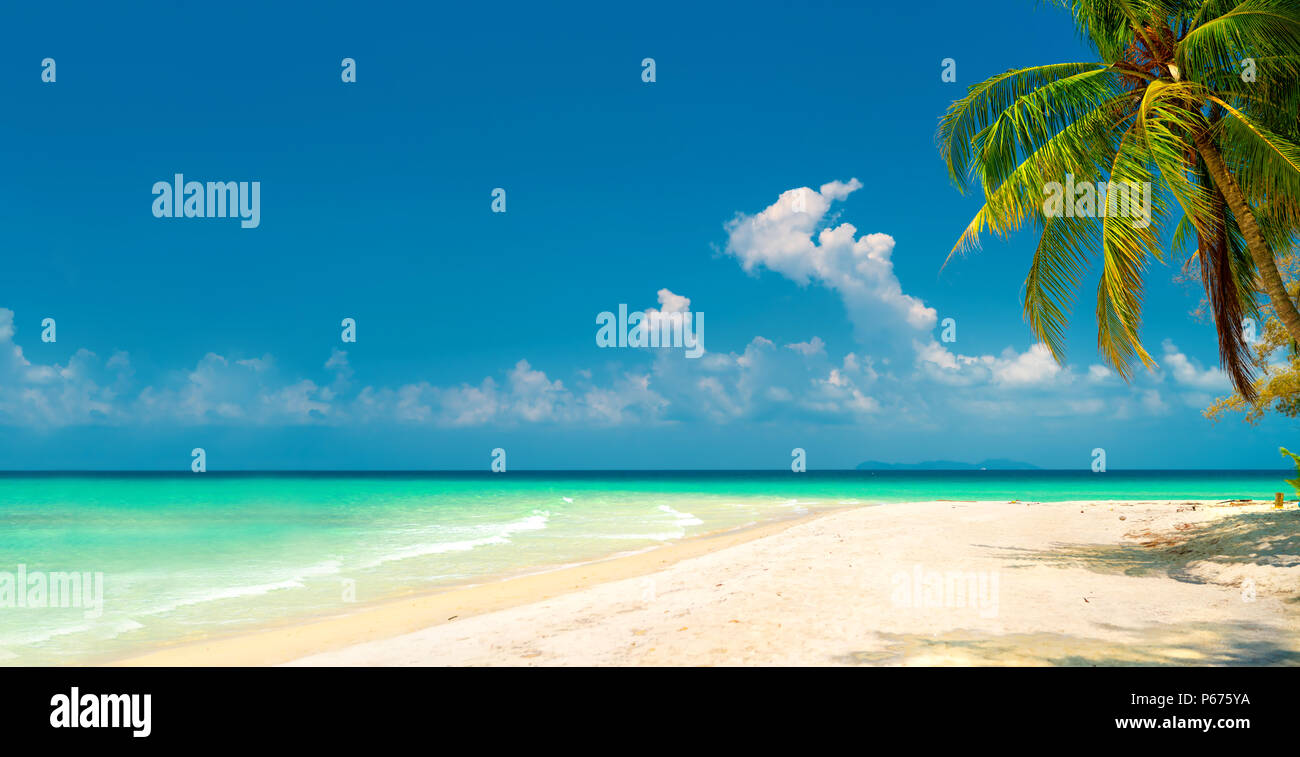 La nature sauvage du paysage incroyable plage tropicale avec palmiers sur fond de paysage de mer propre cristal bleu lagon et ciel d'été sur l'horizon Banque D'Images