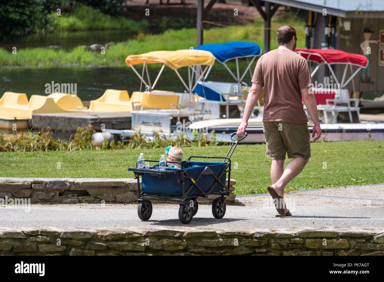 Père tirant sa petite fille à un wagon à Parc d'état de Vogel dans les Blue Ridge Mountains de la Géorgie du Nord. (USA) Banque D'Images