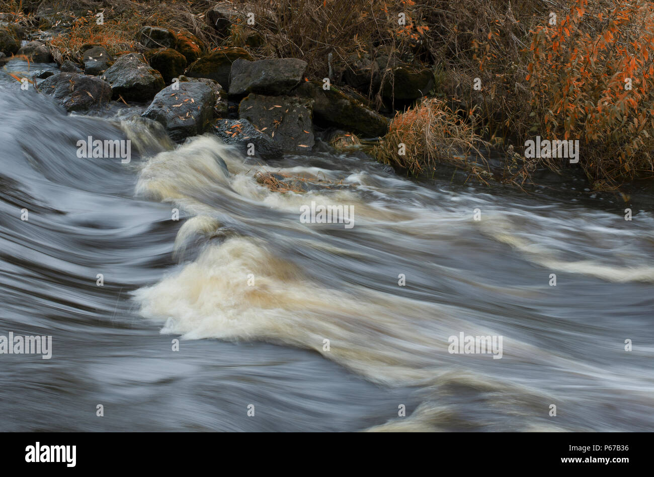 Le débit de la rivière rapide et les rochers avec les feuilles tombées sur la rive en automne Banque D'Images