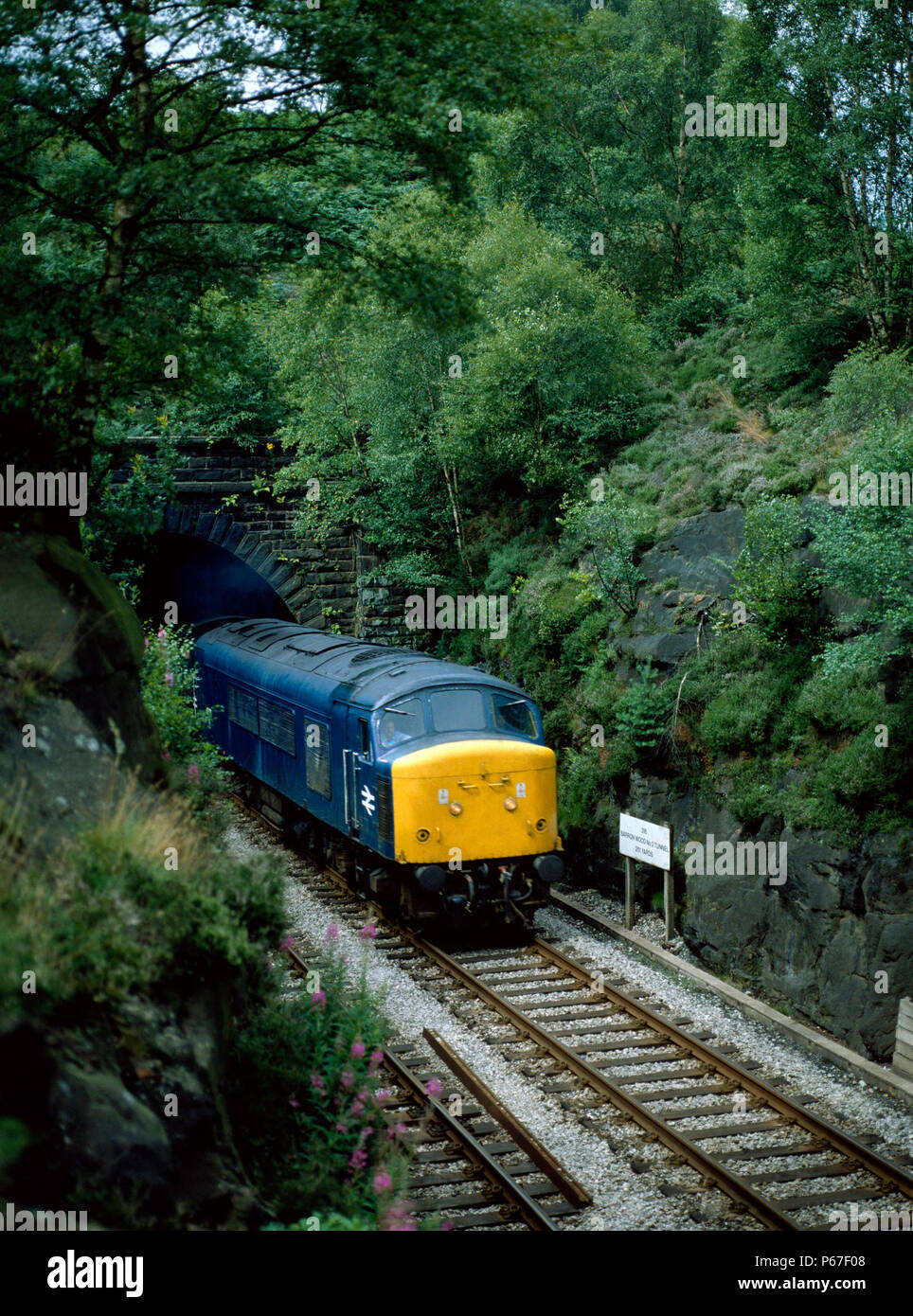 Bois Baron n°2 Tunnel. No45071 à 11:50 Glasgow - Nottingham. 14.08.1980. Banque D'Images