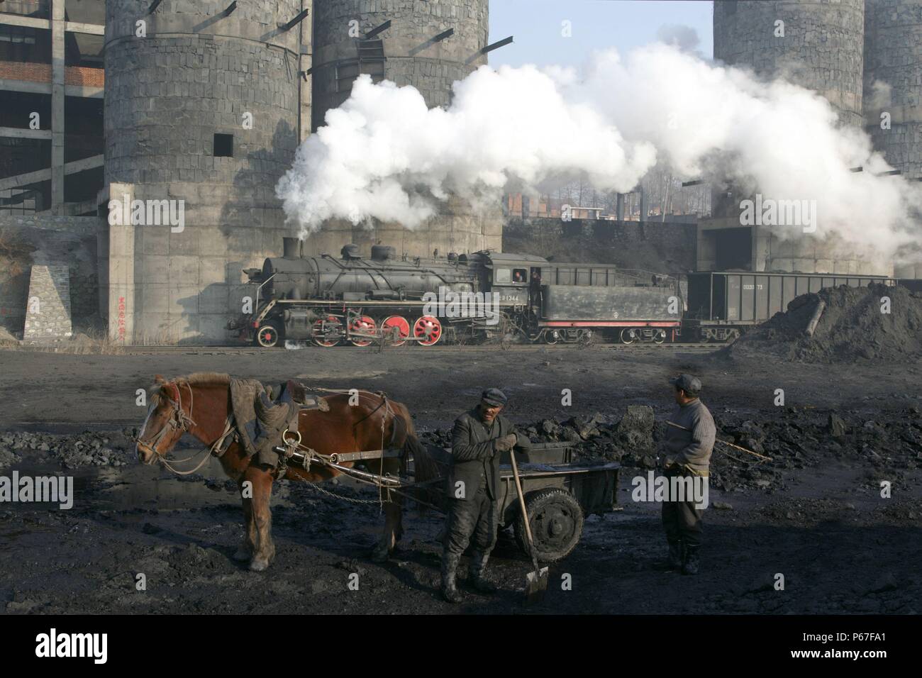 Boues de charbon la rondelle au nord est de la Chine est Beichang recueillies par cheval et panier pour sécher et la vente subséquente. SY industrielle 141 Banque D'Images