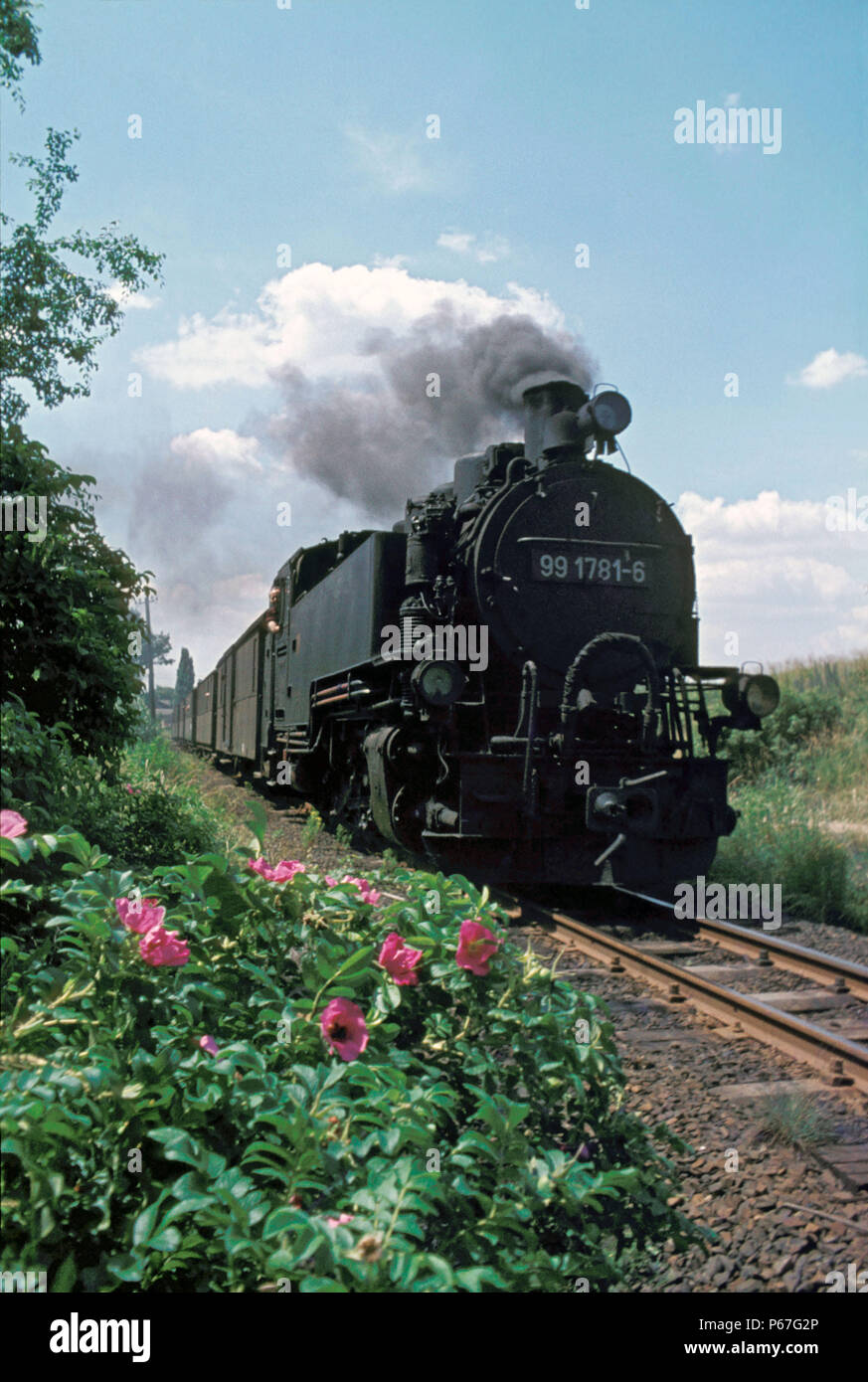 Le chemin de fer allemand Radebeul Ost -ligne Radeburg avec locomotive no991781 mètre 2-10-2T quitter la station de Moritzburg le lundi 4 juillet 1977. Banque D'Images