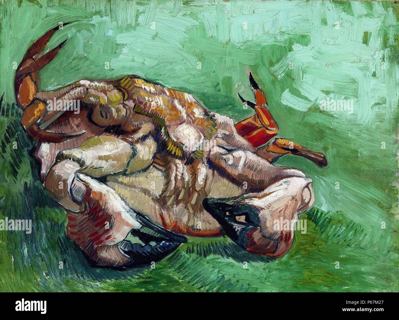 La peinture intitulée "Un crabe' par Vincent van Gogh (1853-1890) peintre post-impressionniste d'origine néerlandaise. De 1888 Banque D'Images