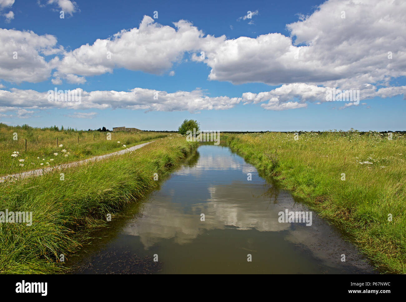 Frampton Marsh, une réserve naturelle RSPB, Lincolnshire, Angleterre, Royaume-Uni Banque D'Images