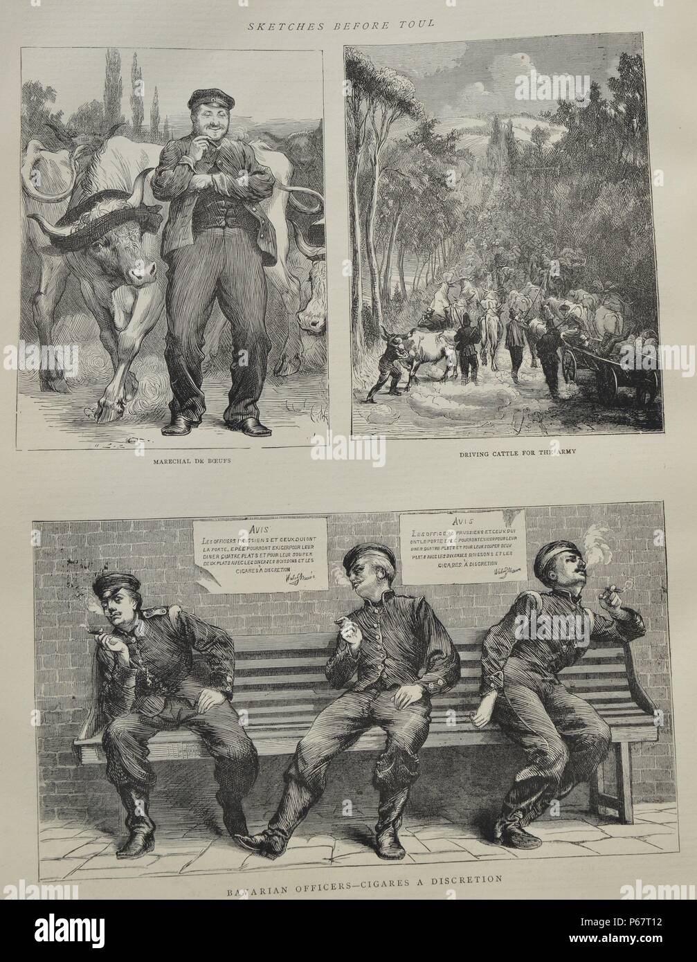 Collection de dessins : Maréchal de Bœufs, de conduire le bétail pour l'armée et les officiers bavarois - Cigares a discrétion. Datée 1870 Banque D'Images