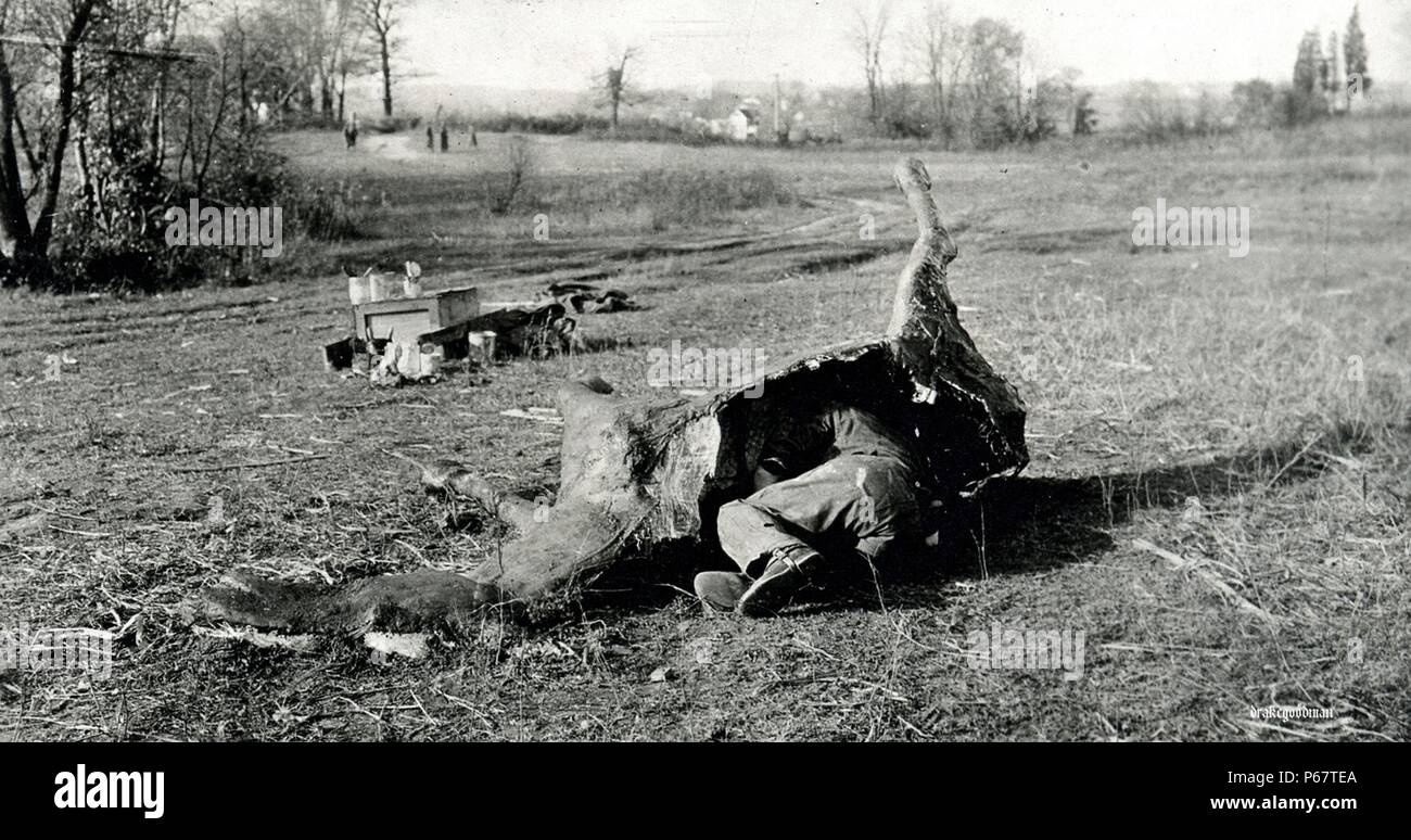 Photographie d'un soldat démontrant un cheval mort papier-mâché position camouflage réalisée pour l'utilisation par des tireurs embusqués. Datée 1918 Banque D'Images