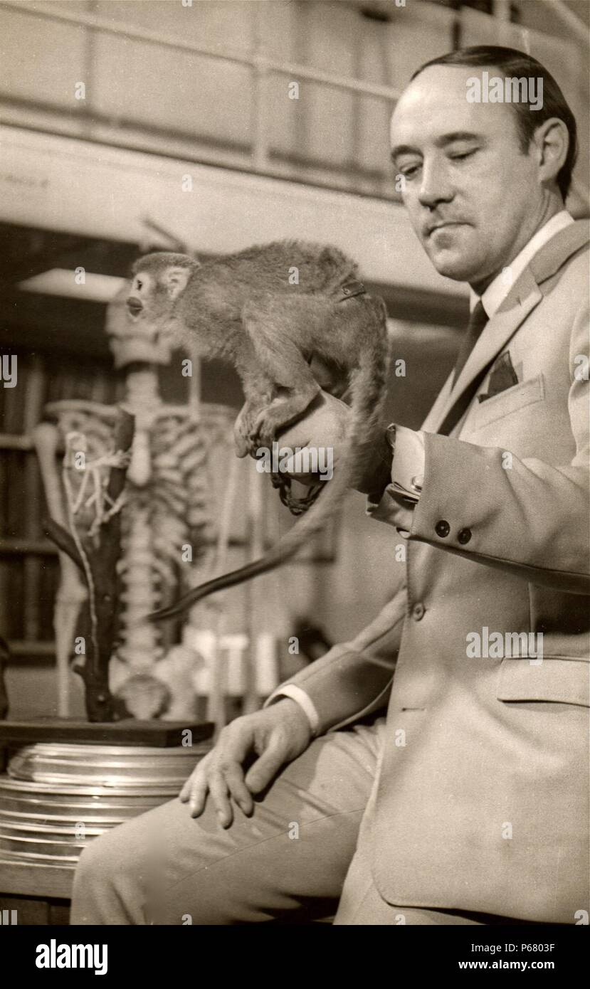 Desmond Morris avec un sud-américain singe écureuil (Saimiri sciureus), pour la série TV de la BBC, La vie dans le monde animal. 1966. Banque D'Images