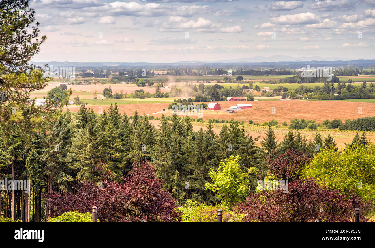 La campagne agricole de la vallée de Willamette en Oregon panorama. Banque D'Images