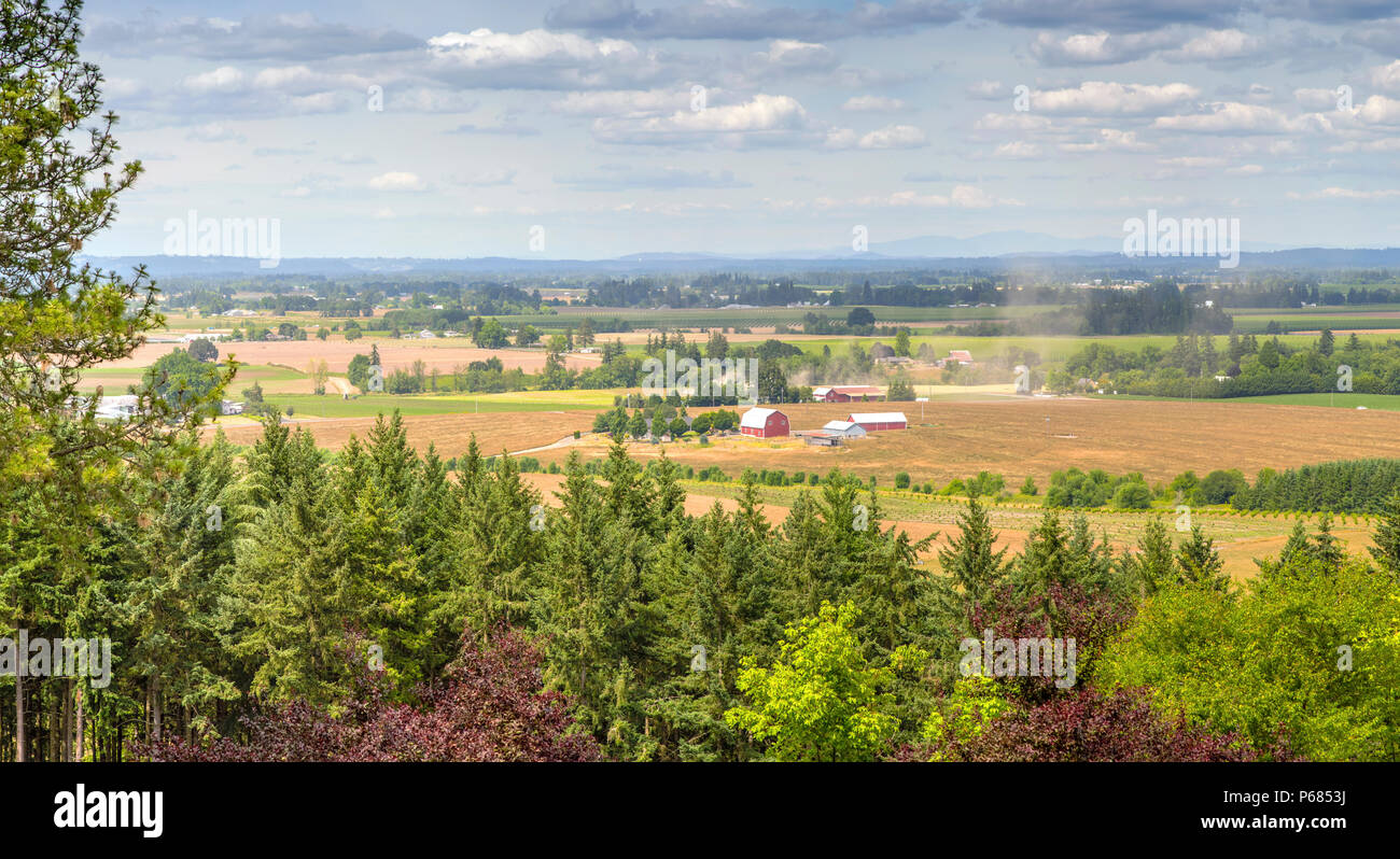 La campagne agricole de la vallée de Willamette en Oregon panorama. Banque D'Images