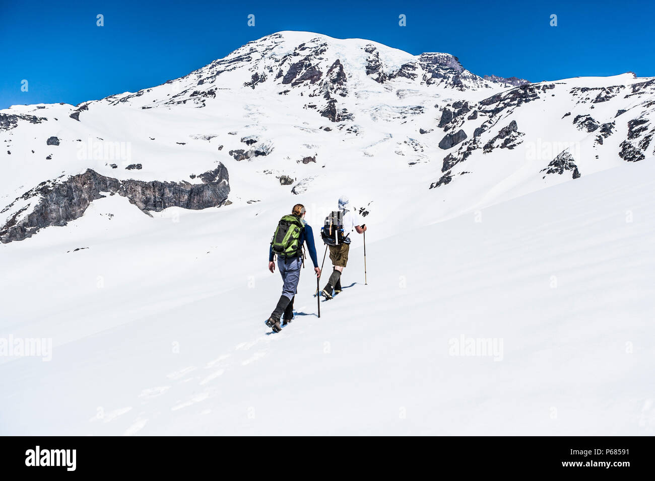 Les gens de randonnée du Muir champ de neige sur le côté sud de Mt. Rainier, Mt. Rainier National Park, Washington, United States. Banque D'Images