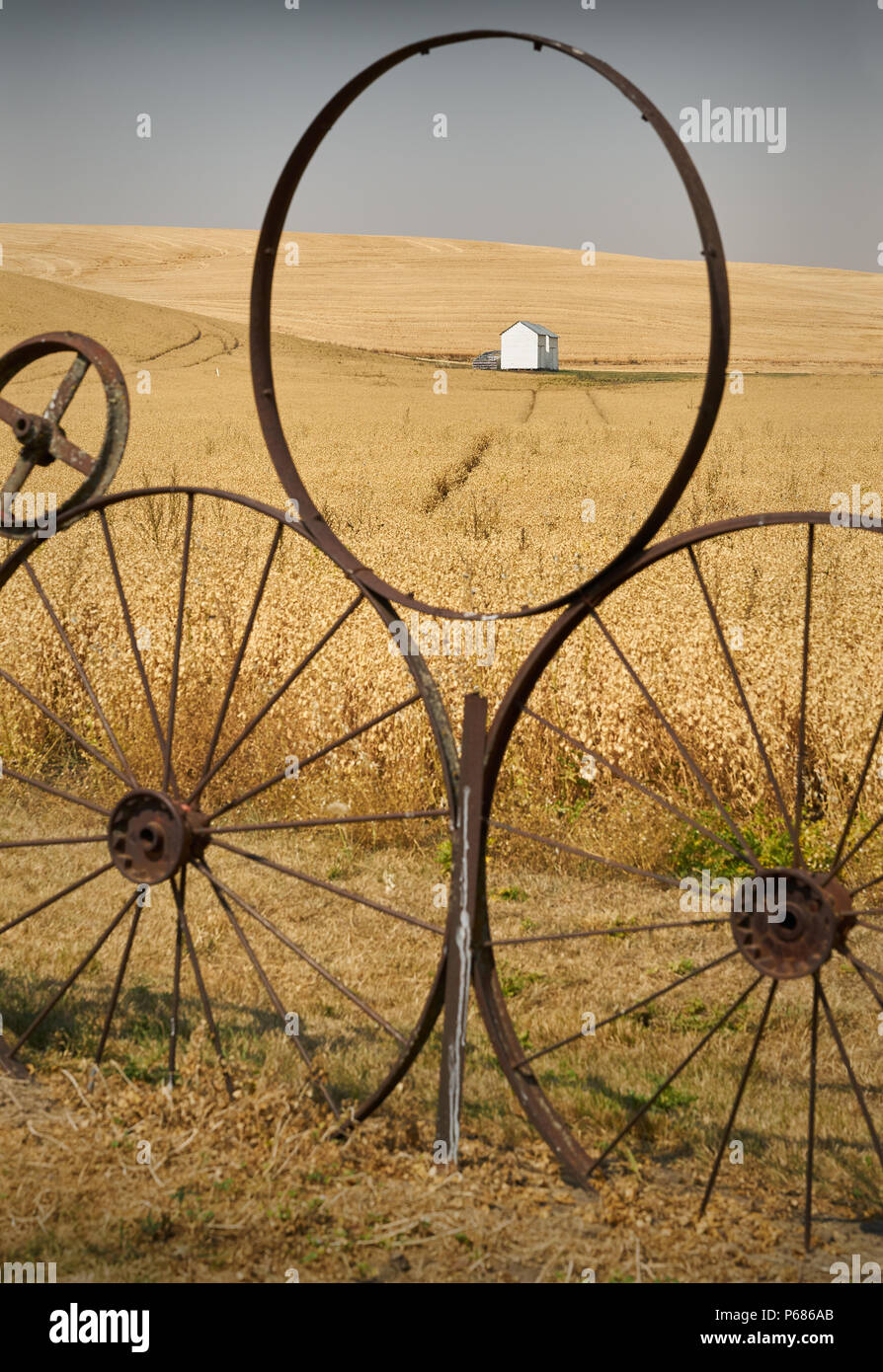 Roues palousienne Clôture, Washington une roue clôture dans la Palouse devant un champ de pois chiches. L'État de Washington, USA. Banque D'Images