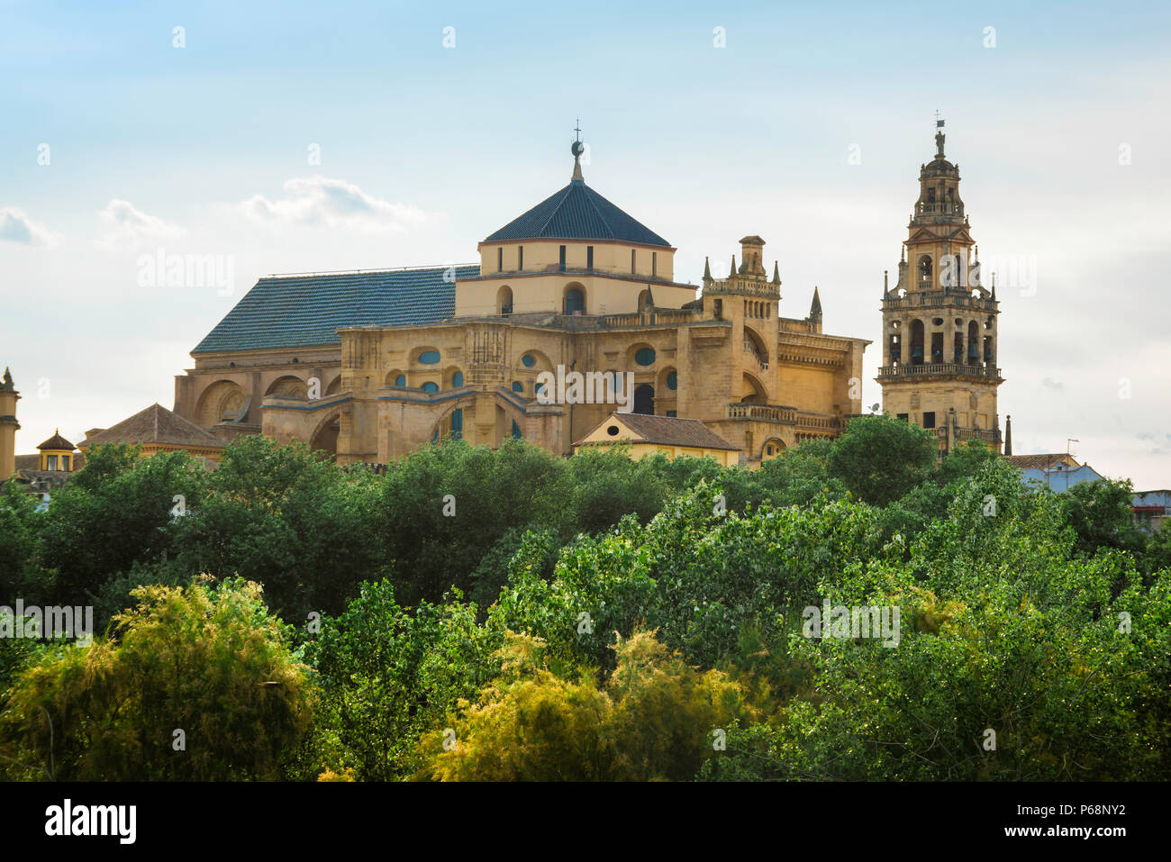 La Cathédrale de Cordoue, vue de la Cathédrale de Cordoue - connu aussi sous le nom de la Mezquita - se lever au-dessus de la boisée rives du Rio Guadalquivir, Espagne. Banque D'Images