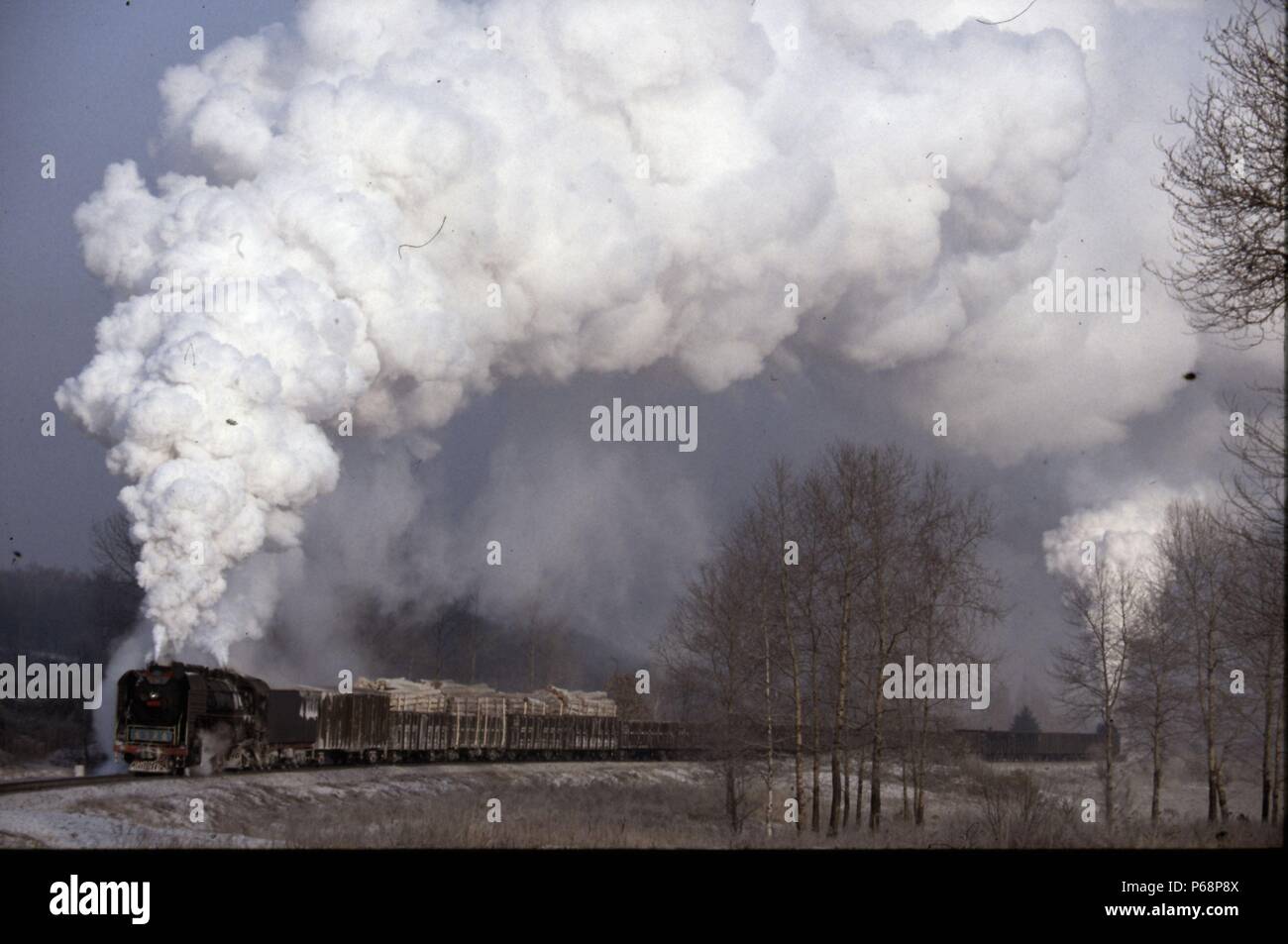 Le paysage enneigé du nord-est de la Chine fait une amende pour un train de marchandises en direction du sommet de l'approche de Nancha Banque. Le train Banque D'Images
