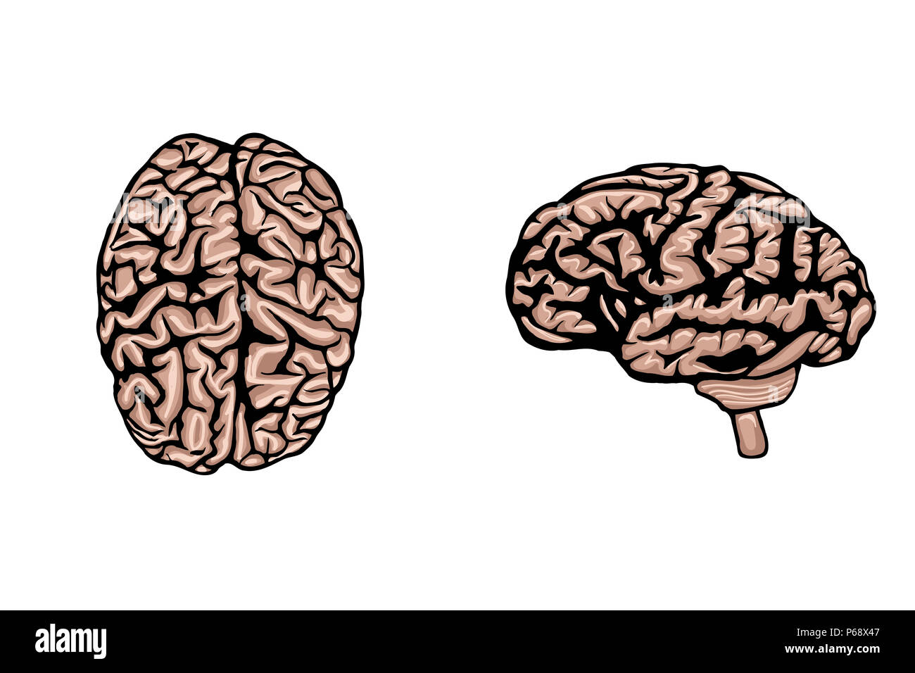 Jeu de cerveau humain à des fins médicales, la génétique et les soins de santé ou d'une idée de conception de logo Banque D'Images