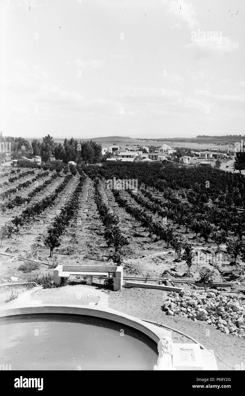 Photographie de Giv'atayim en Israël est de Tel Aviv. Datée 1930 Banque D'Images