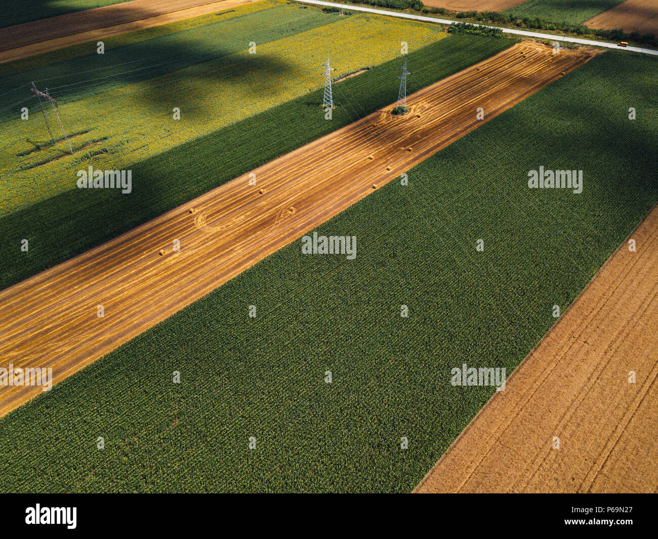 Vue aérienne du champ de blé et maïs cultivé à partir de la perspective de drones Banque D'Images