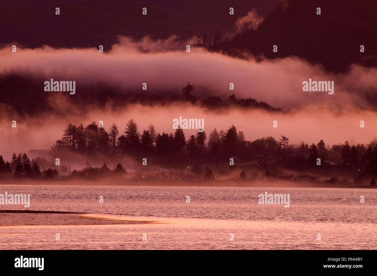 Tillamook Bay à forêt avec brouillard, Bayocean Peninsula, Oregon Banque D'Images