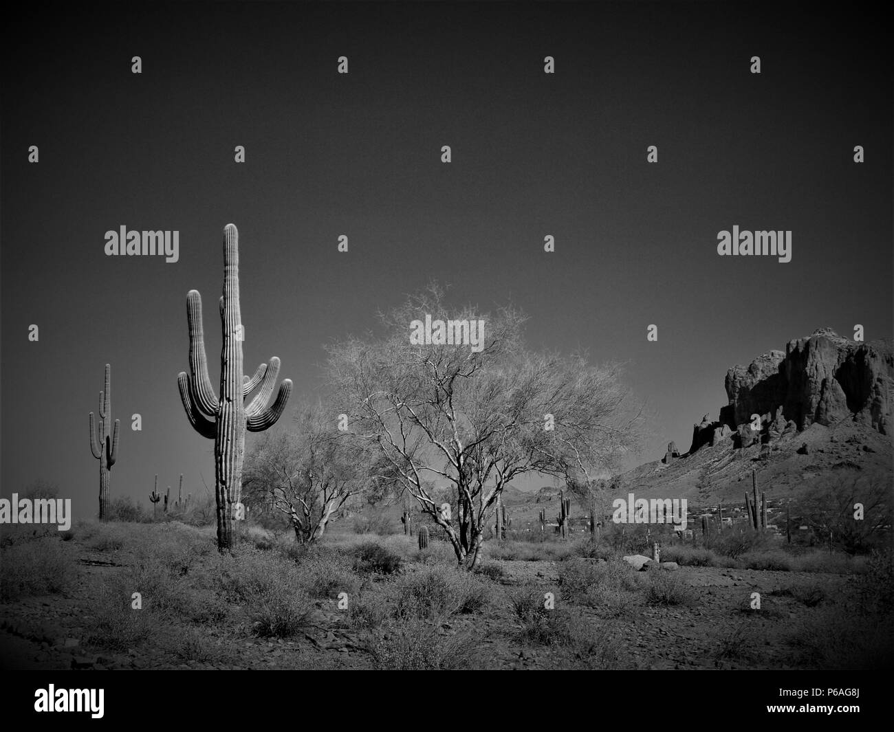 La Superstition Mountain, Apache Junction, Arizona et Saguaro cactus en climat désertique. Banque D'Images