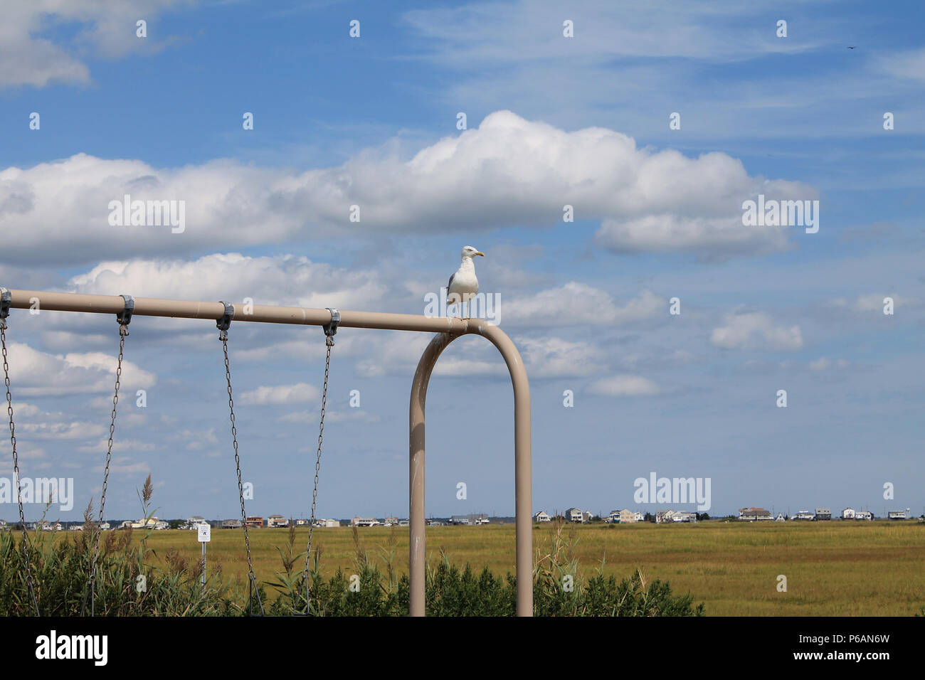Une mouette se dresse au sommet d'un Swingset à la fin de st Quai dans peu de Egg Harbor Township, New Jersey. Banque D'Images Une mouette se dresse au sommet d'un Swingset à la fin de st Quai dans peu de Egg Harbor Township, New Jersey. Banque D'Images