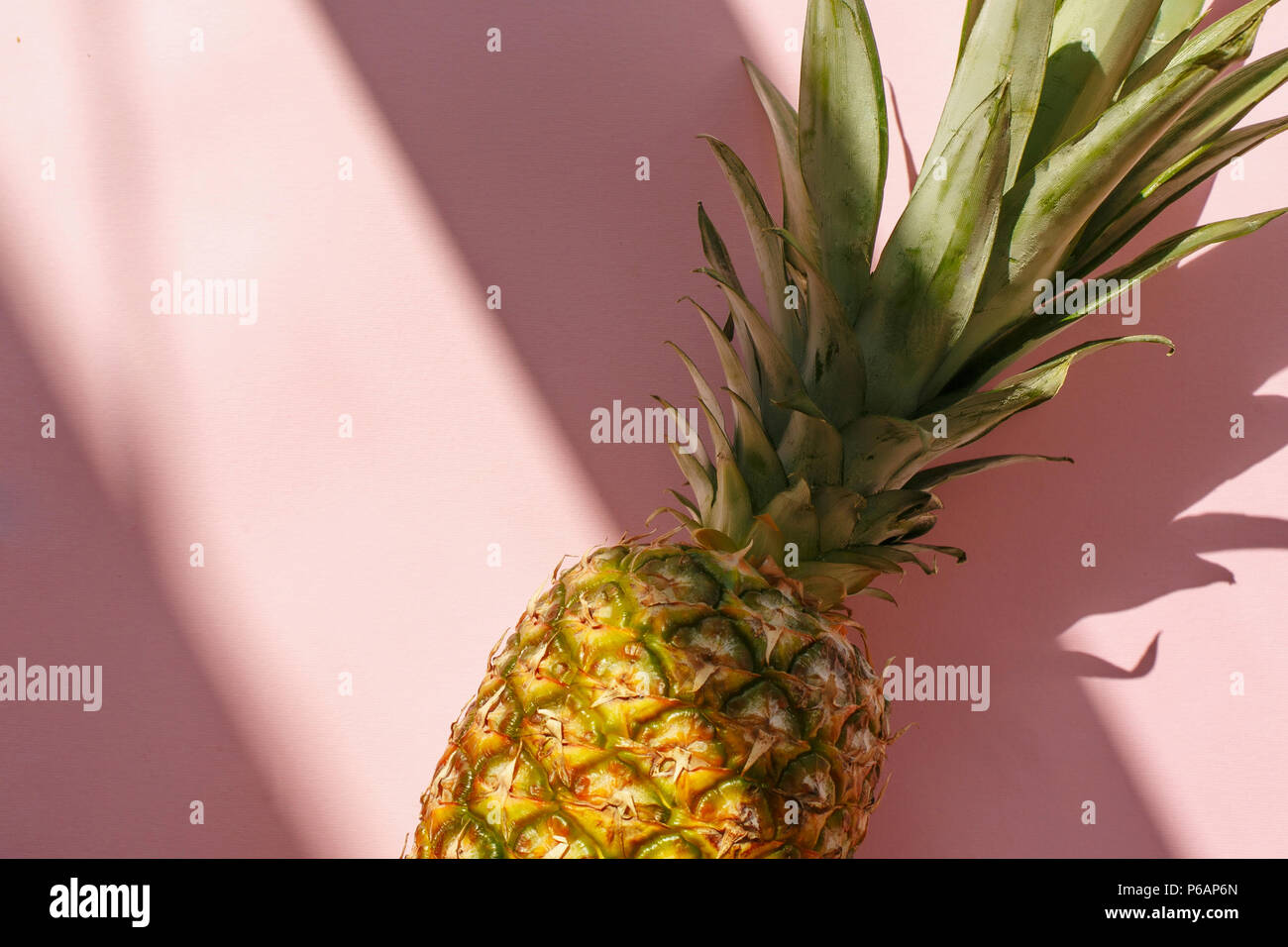 Ananas juteux rose à la mode sur fond de papier de la lumière du soleil. Télévision. laïcs contraste créatif de l'été image. Locations et party concept. espace pour texte. tr Banque D'Images