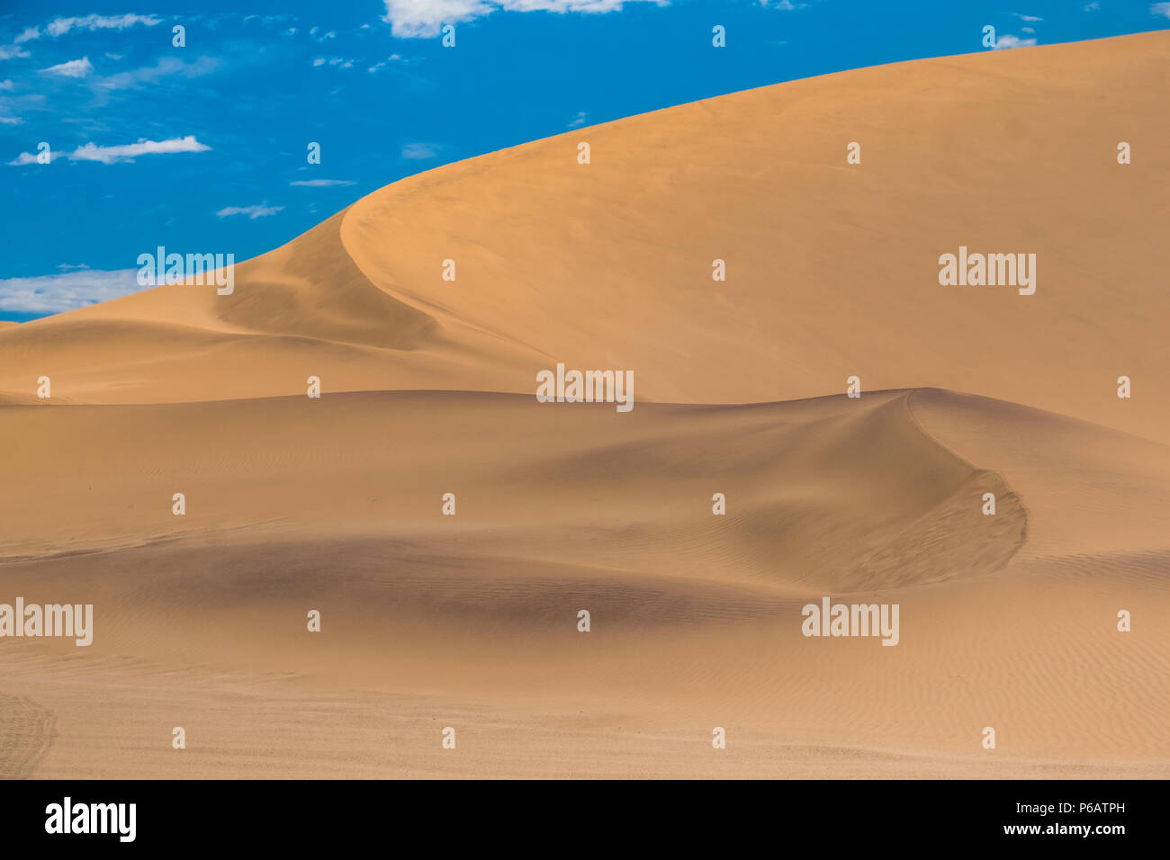 Dune 7, une très grande zone de dunes de sable à l'edbge du désert du Namib près de la ville portuaire de Walvis Bay, Namib-Naukluft National Park, la Namibie. Banque D'Images