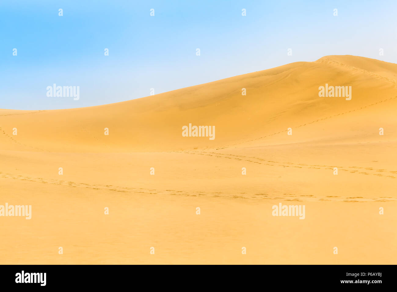 Grande dune de sable avec le chemin d'empreintes et de ciel bleu, le Japon Tottori (copie espace) Banque D'Images