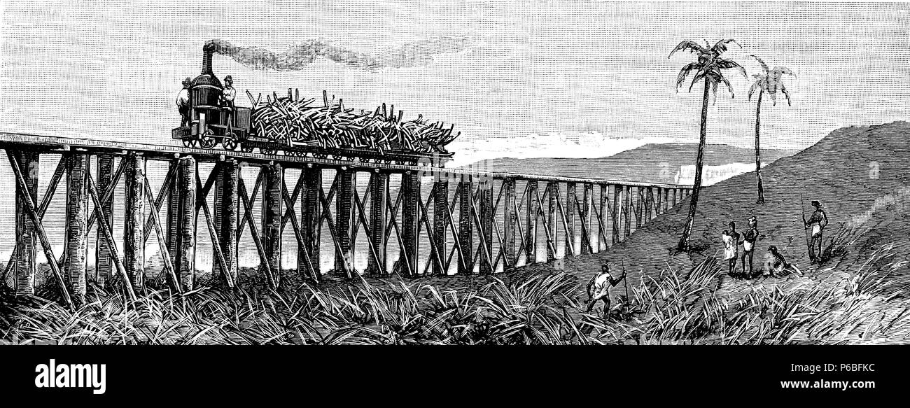 L'Australie. Tren ligero verticale de máquina para el transporte de caña de azúcar. La gravure de 1883. Banque D'Images