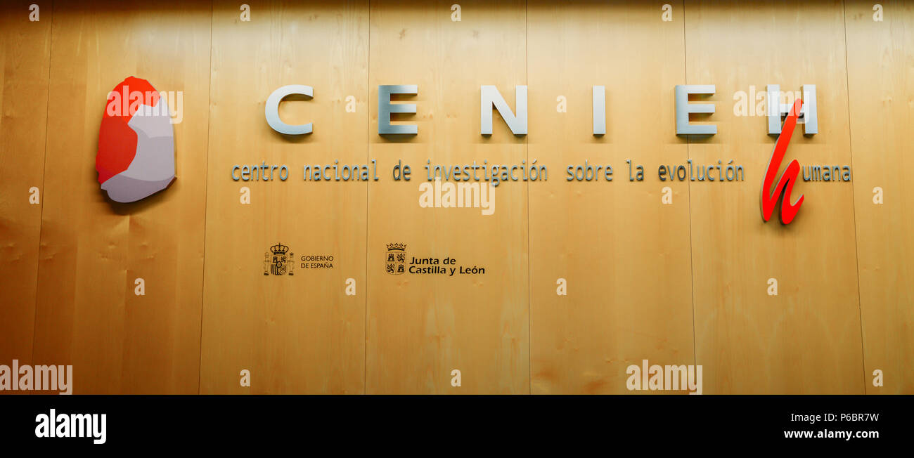 L'évolution humaine Centre de recherche - Centro Nacional de Investigación sobre la Evolucion Humana, CENIEH Banque D'Images