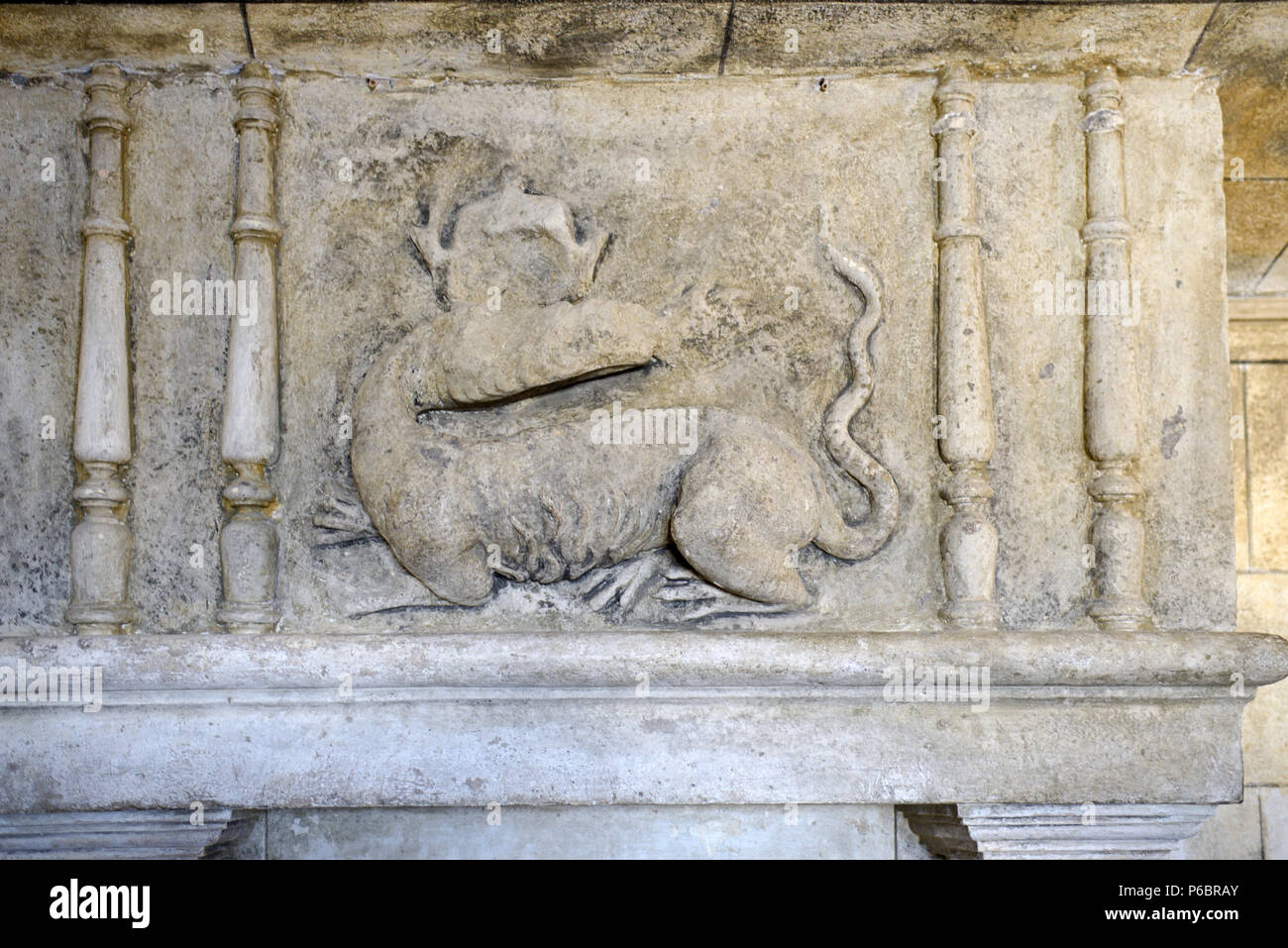 La sculpture sur pierre de Dragon, Bas-Relief ou Dragon sculpté sur cheminée dans garde-manger Château de Grignan Drôme Provence France Banque D'Images
