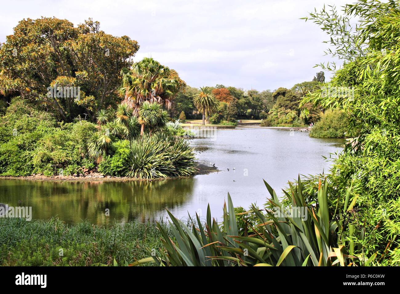 Dans l'état de Victoria de Melbourne, Australie. Royal Botanic Gardens. Banque D'Images