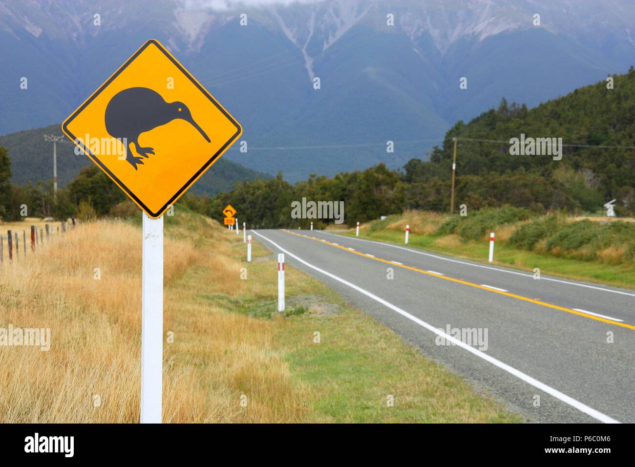 Symbole de la Nouvelle-Zélande - kiwi signe. Région de Tasmanie road. Se concentrer sur l'roadsign. Banque D'Images