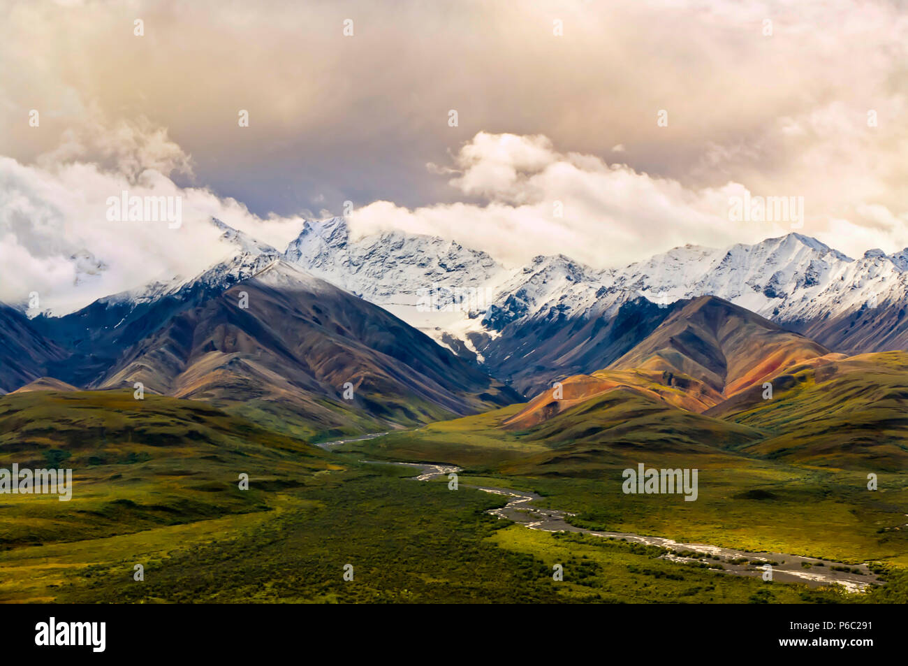 Vue sur une vallée verdoyante avec des montagnes de neige et un ciel nuageux dans l'arrière-plan dans le Parc National Denali et préserver, de l'Alaska Banque D'Images