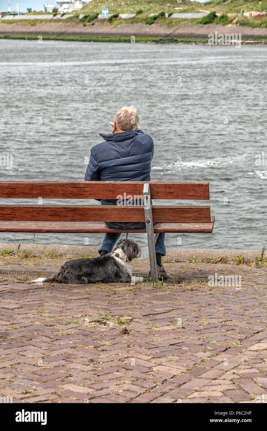 L'homme est assis sur un banc en bois avec son chien pointant vers la mer Banque D'Images